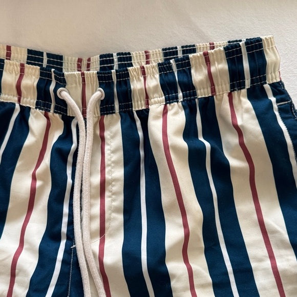 Striped Men's Swim Shorts - Picture 4 of 6